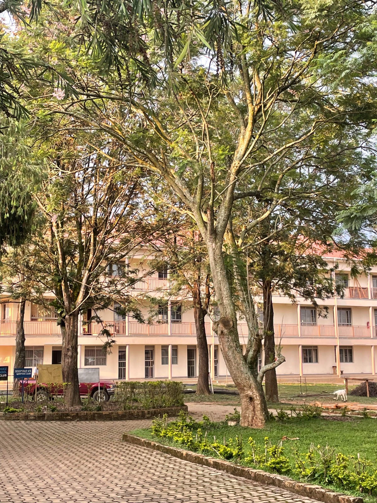 School Building
